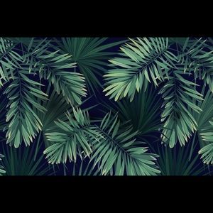 Meet your Posher, Shir